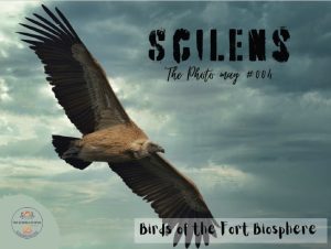 SCILENS-PHOTO MAGAZINE COVER